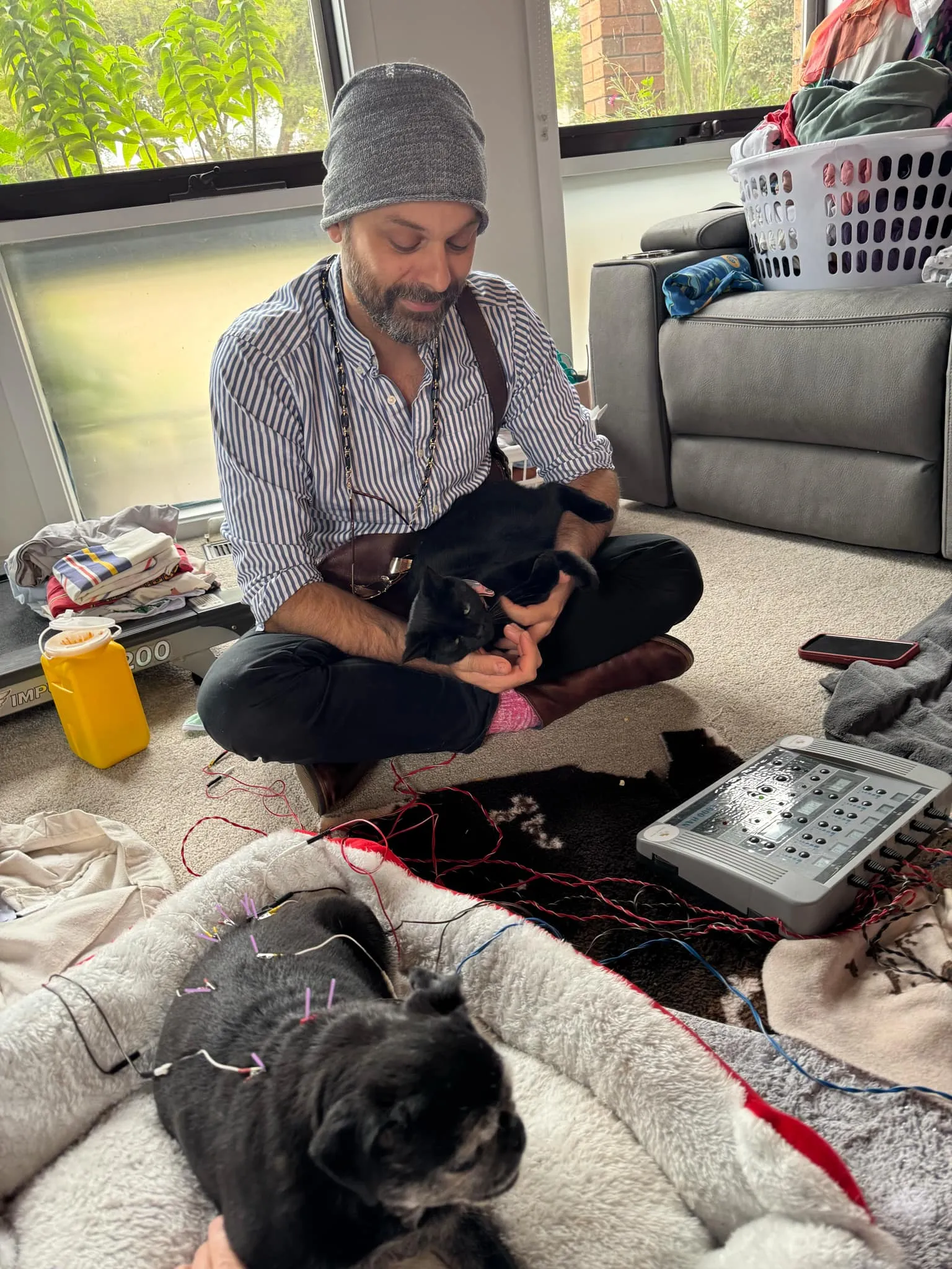 Dr Tristan sitting cross-legged on a living-room floor holding a black cat, while an older pug rests on its bed during electroacupuncture.